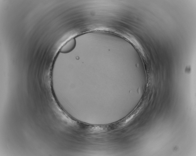 X0000090490806200708102217