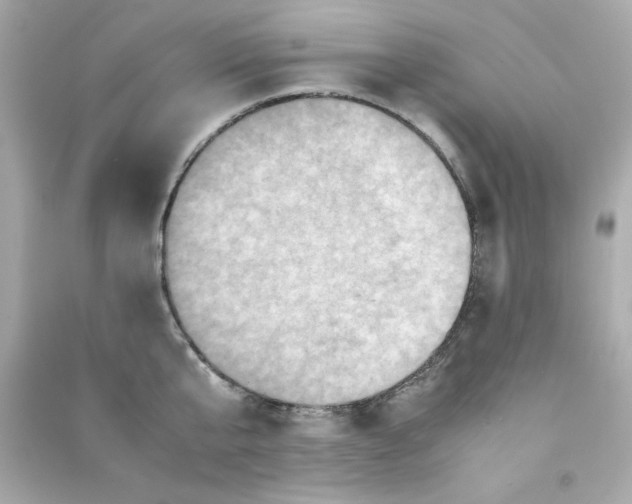 X0000090490807200708102217