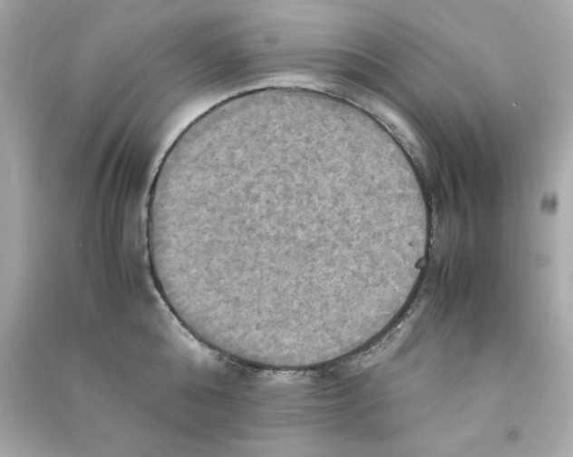 X0000090490808200708102217