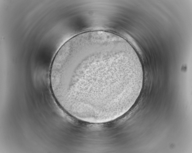 X0000090490810200708102217