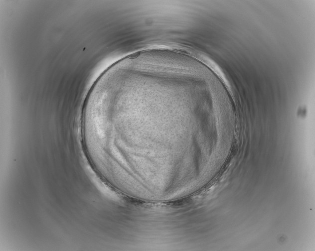 X0000090490811200708102217