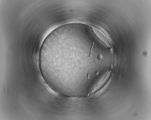 X0000090490812200708102217