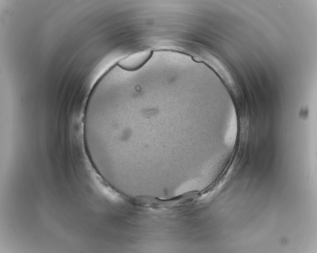 X0000090490814200708102217