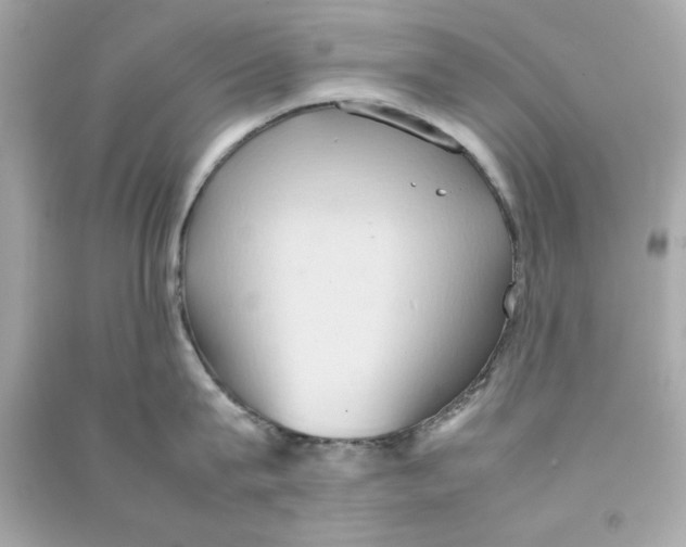 X0000090490815200708102217