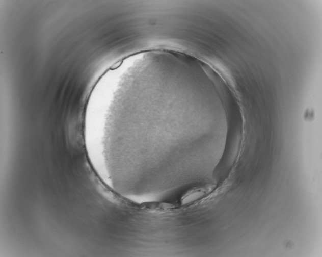 X0000090490816200708102217