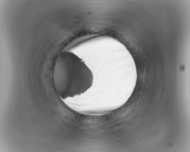 X0000090490817200708102216