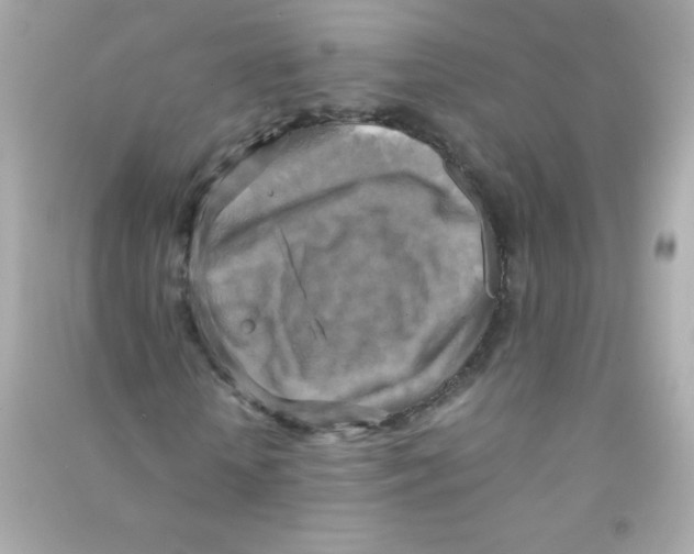 X0000090490818200708102216