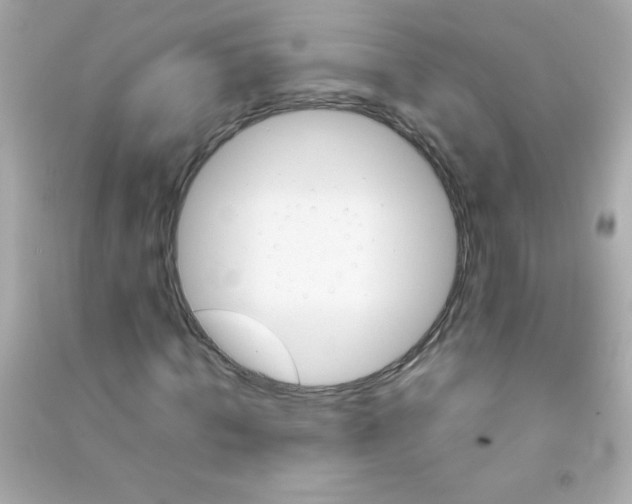 X0000090490820200708102216