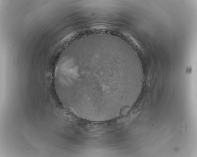 X0000090490821200708102216