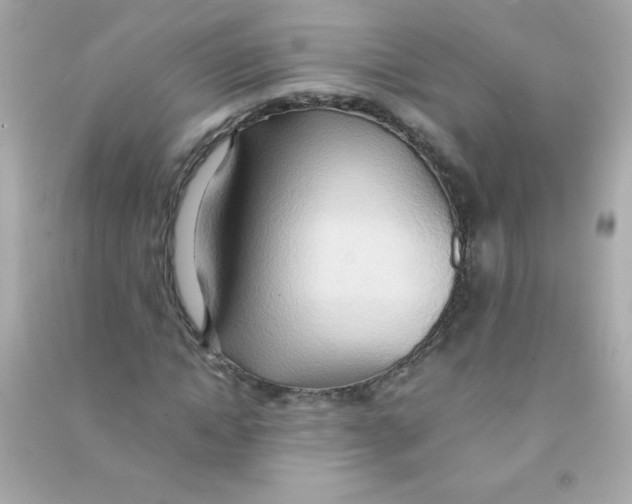 X0000090490822200708102216