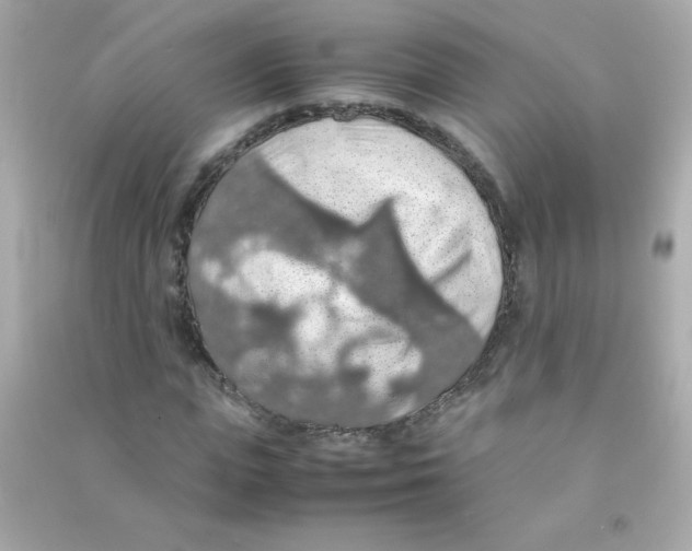 X0000090490823200708102216