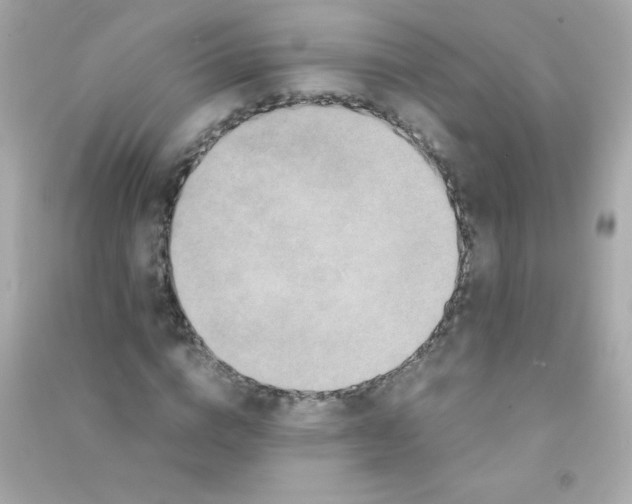 X0000090490824200708102216