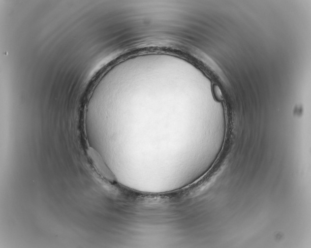 X0000090490826200708102217