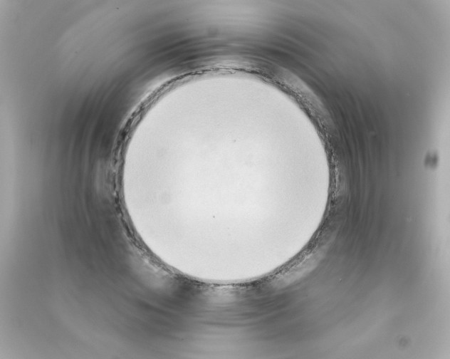 X0000090490828200708102217