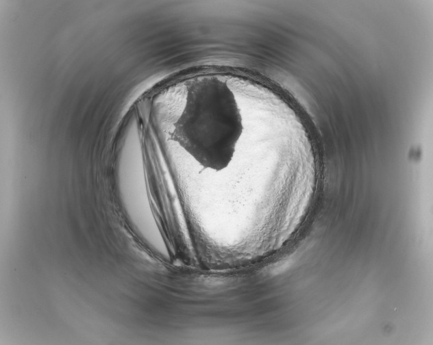 X0000090490829200708102217