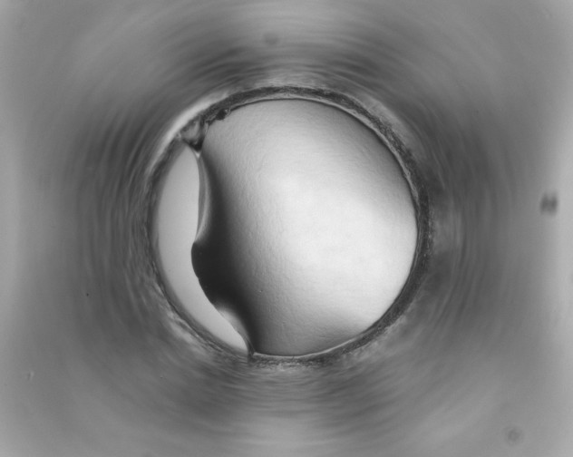 X0000090490830200708102217