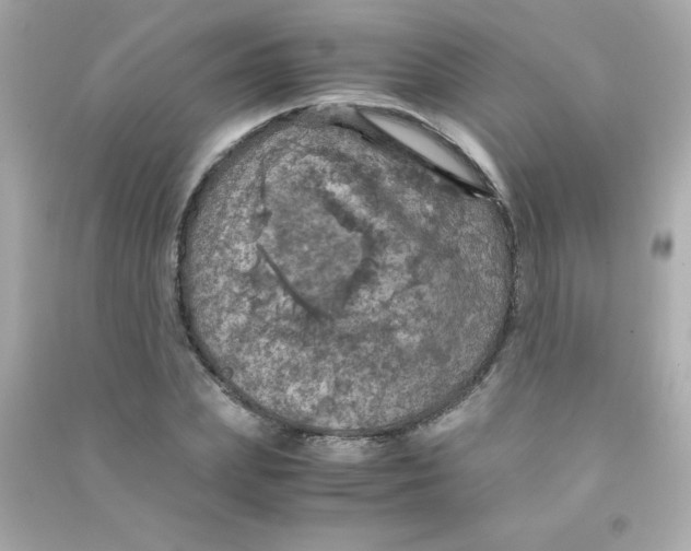 X0000090490831200708102217