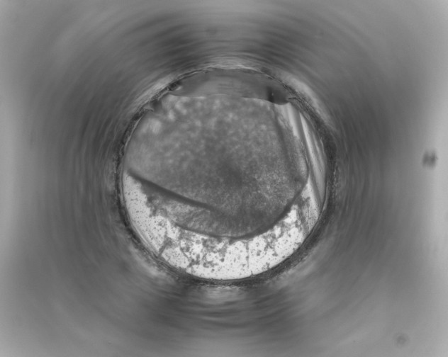 X0000090490833200708102217