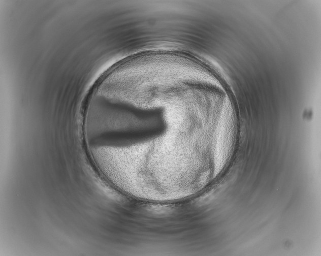 X0000090490835200708102217