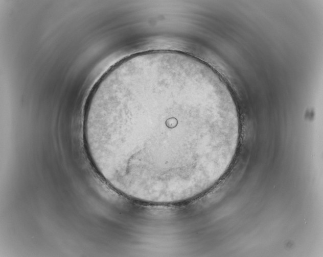 X0000090490836200708102217