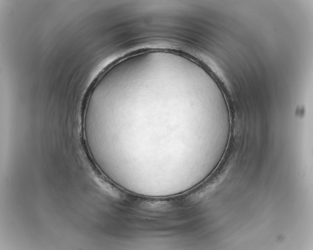 X0000090490837200708102217