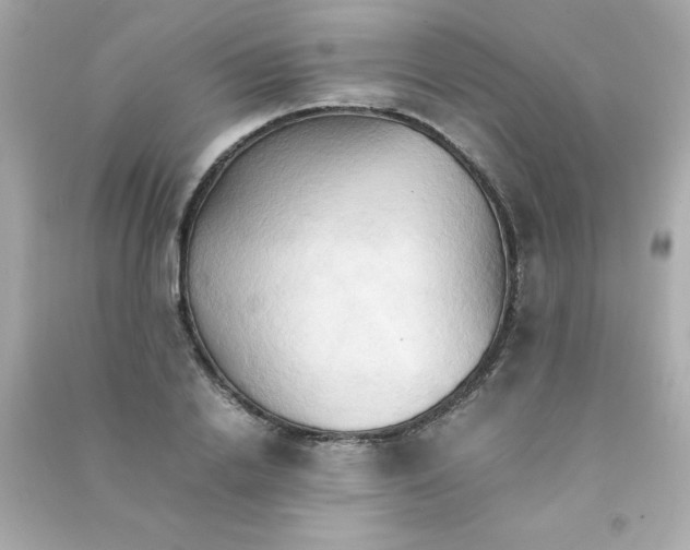 X0000090490838200708102217