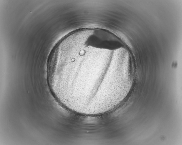 X0000090490839200708102217