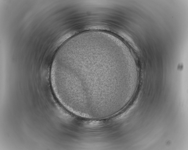 X0000090490841200708102217