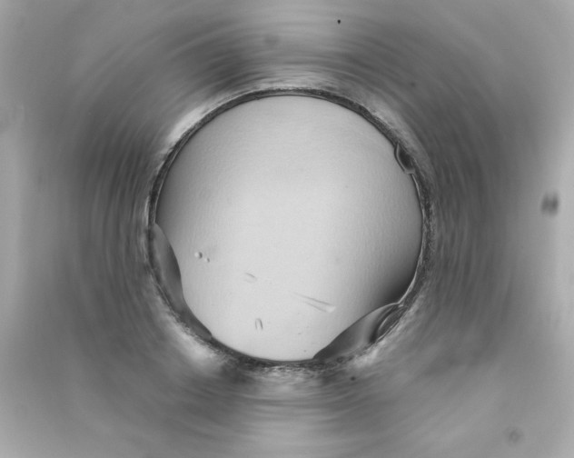 X0000090490842200708102217