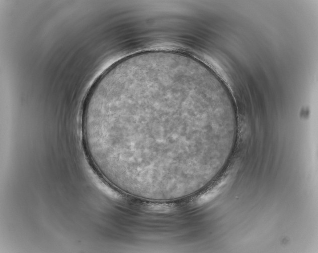 X0000090490843200708102217