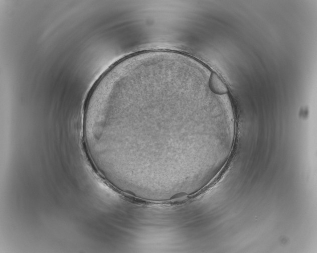 X0000090490844200708102217