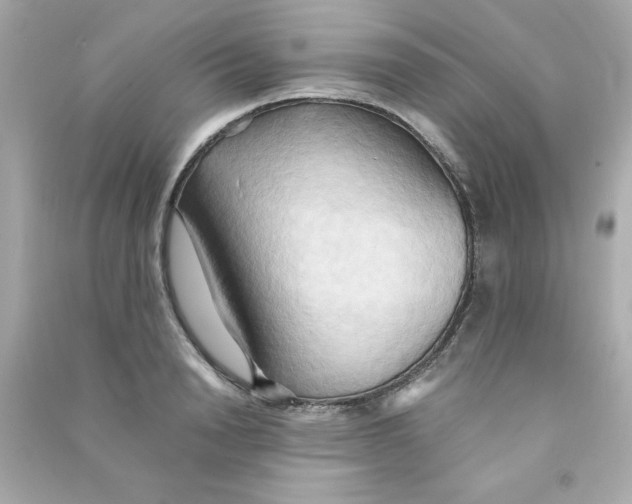 X0000090490846200708102217