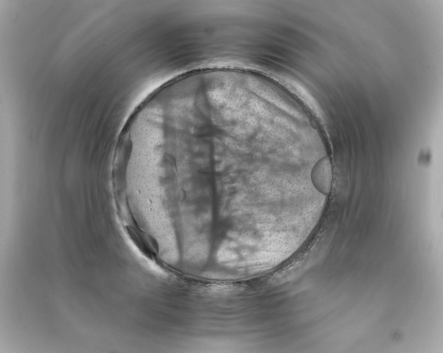 X0000090490847200708102217