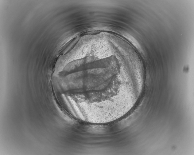 X0000090490849200708102217