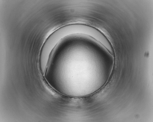 X0000090490850200708102217