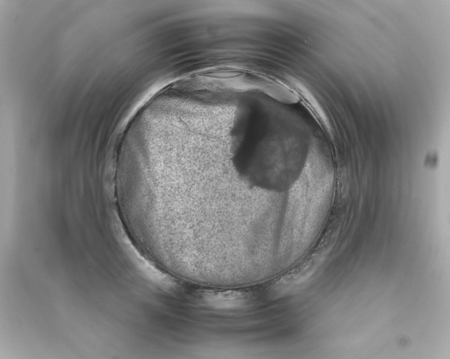 X0000090490851200708102217