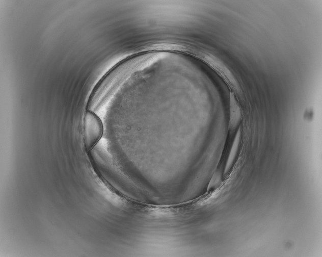 X0000090490852200708102217