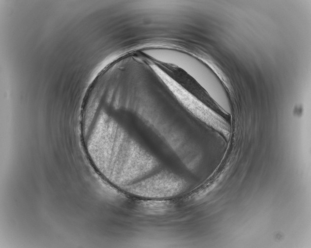 X0000090490853200708102217