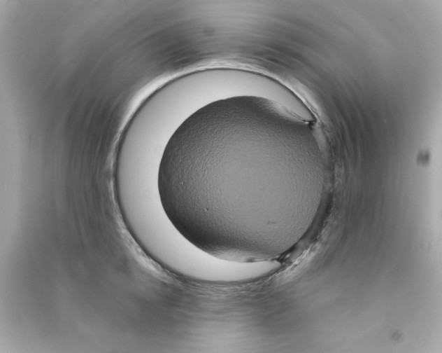 X0000090490854200708102217