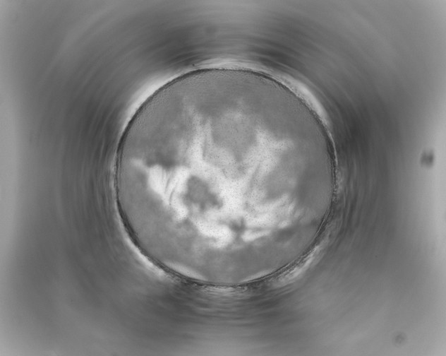 X0000090490855200708102217