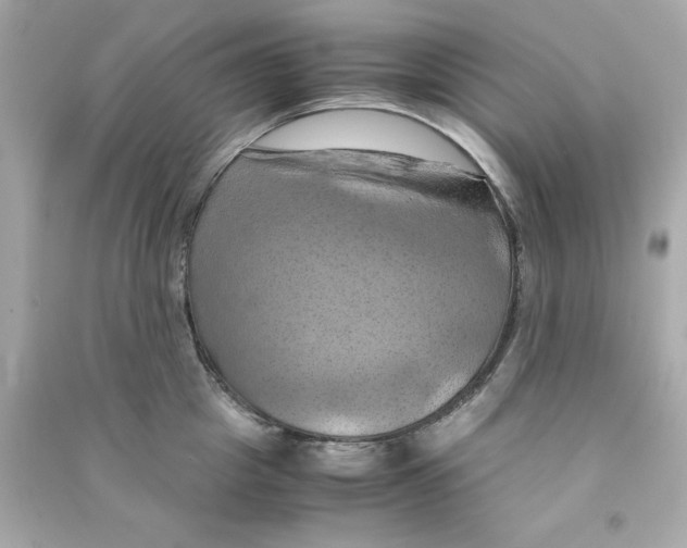 X0000090490857200708102217