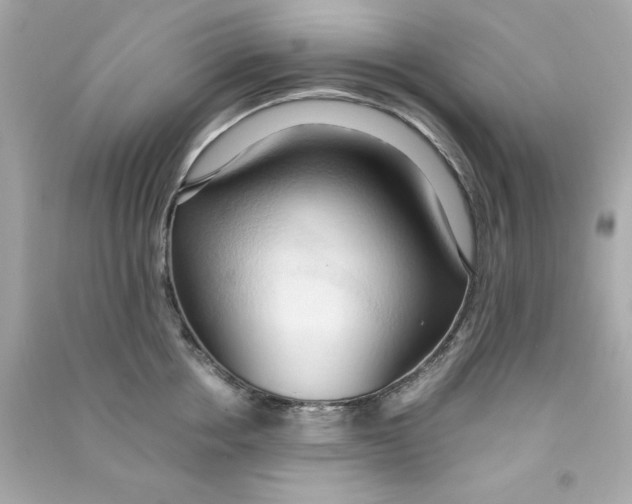 X0000090490858200708102217