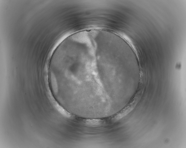 X0000090490859200708102217