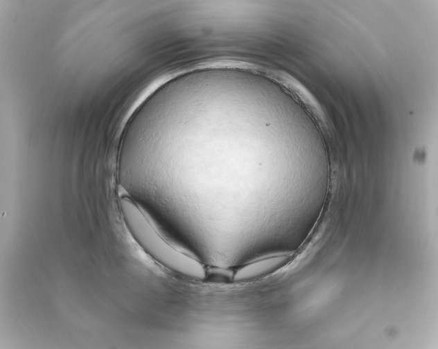 X0000090490860200708102217