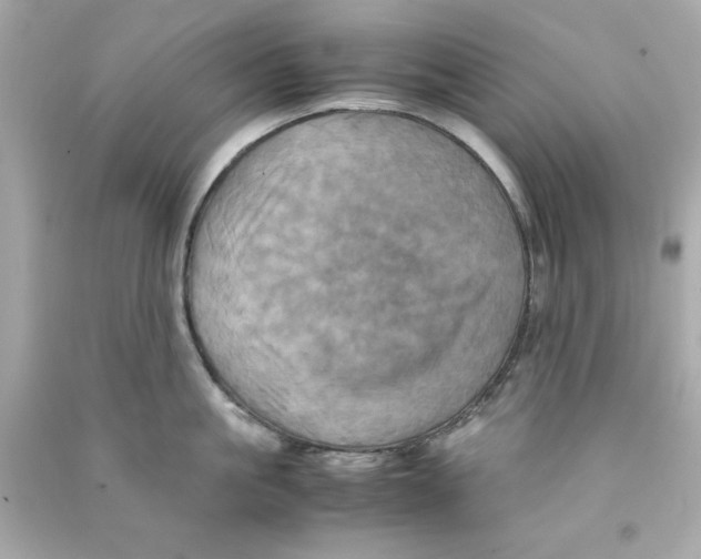 X0000090490861200708102217