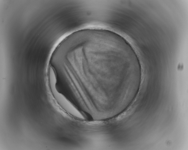 X0000090490864200708102217