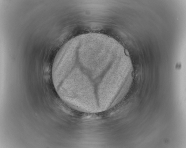 X0000090490866200708102216