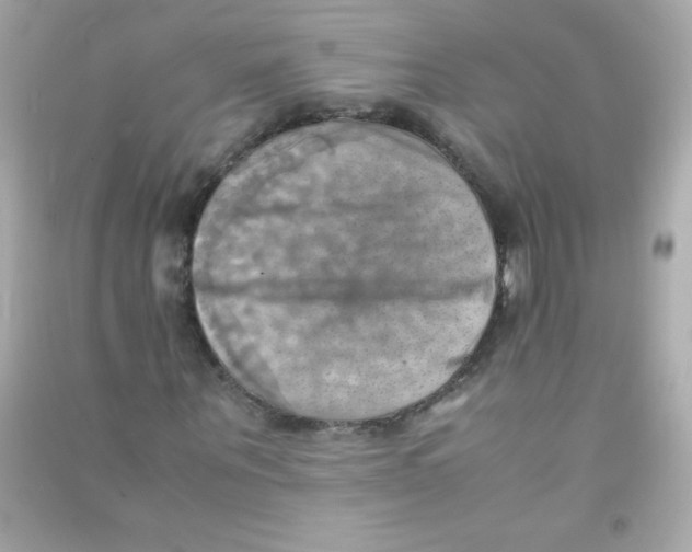 X0000090490867200708102216