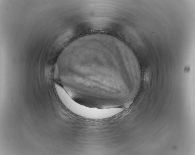 X0000090490868200708102216