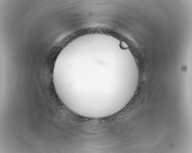 X0000090490869200708102216